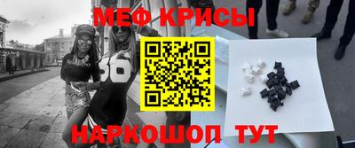 стафф Камышлов