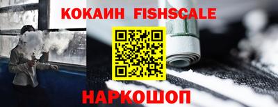 стафф Камышлов