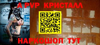 стафф Камышлов