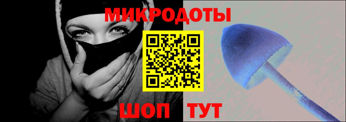 Югорск  Галлюциногенные грибы Psilocybine cubensis  Вход с VPN 